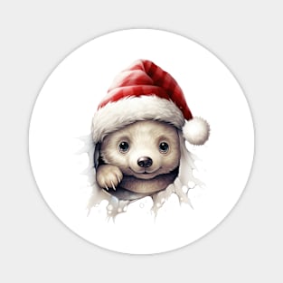 Christmas Peeking Baby Polar Bear Magnet